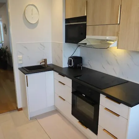 Spacious Top-Floor Apartment With Private Sauna - City Center דירה *
