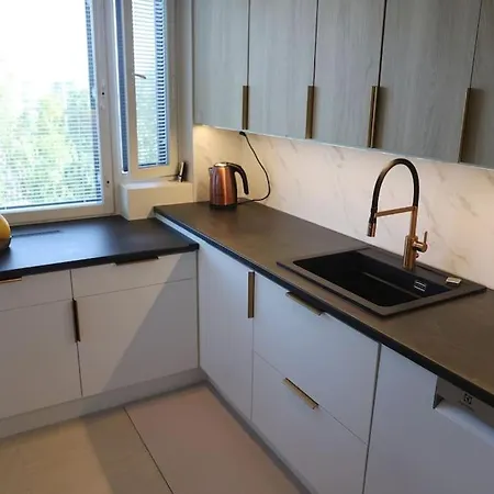 Spacious Top-Floor Apartment With Private Sauna - City Center