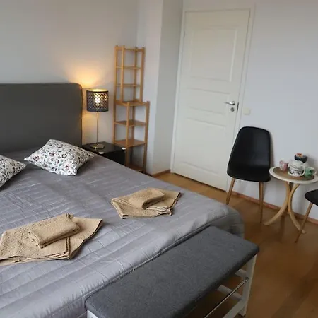 דירה Spacious Top-Floor Apartment With Private Sauna - City Center *