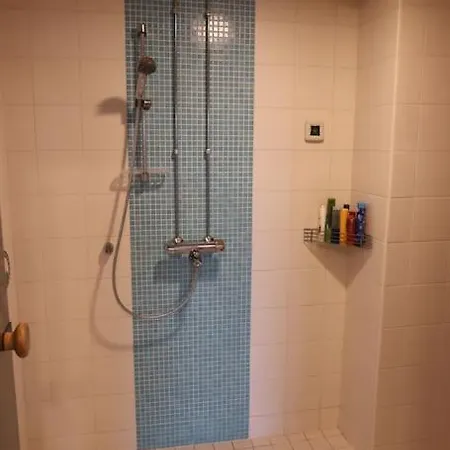 Spacious Top-Floor Apartment With Private Sauna - City Center דירה