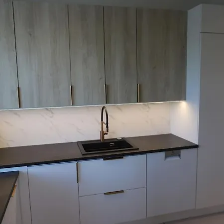 Spacious Top-Floor Apartment With Private Sauna - City Center רובניימי