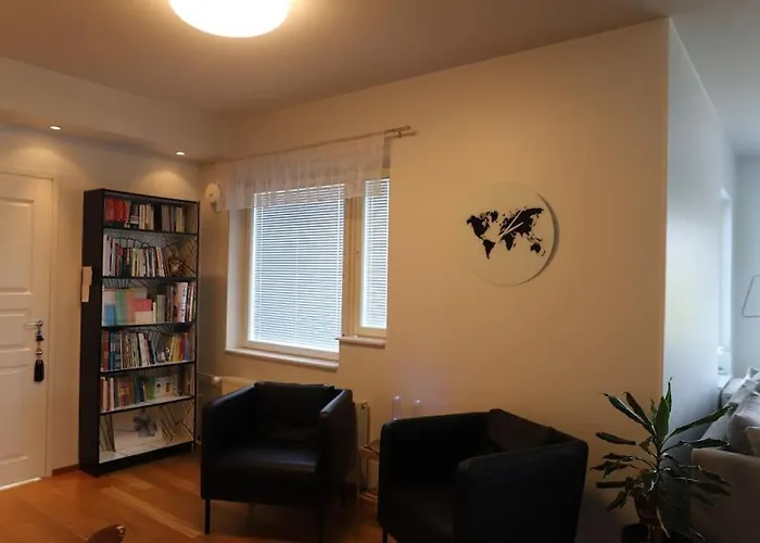 130m2 With Sauna In Citycenter 公寓 罗瓦涅米