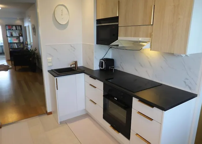 130m2 With Sauna In Citycenter 公寓 *