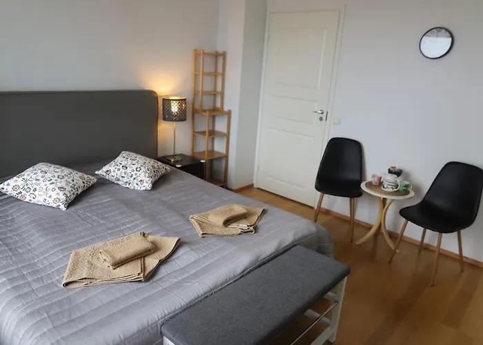 公寓 130m2 With Sauna In Citycenter *