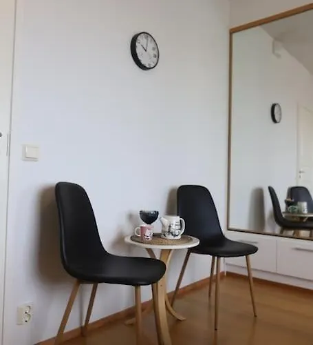 130m2 With Sauna In Citycenter * 罗瓦涅米