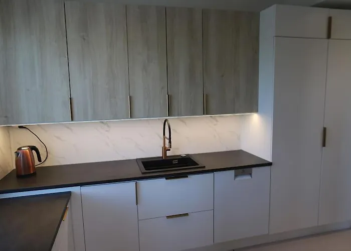 130m2 With Sauna In Citycenter 罗瓦涅米