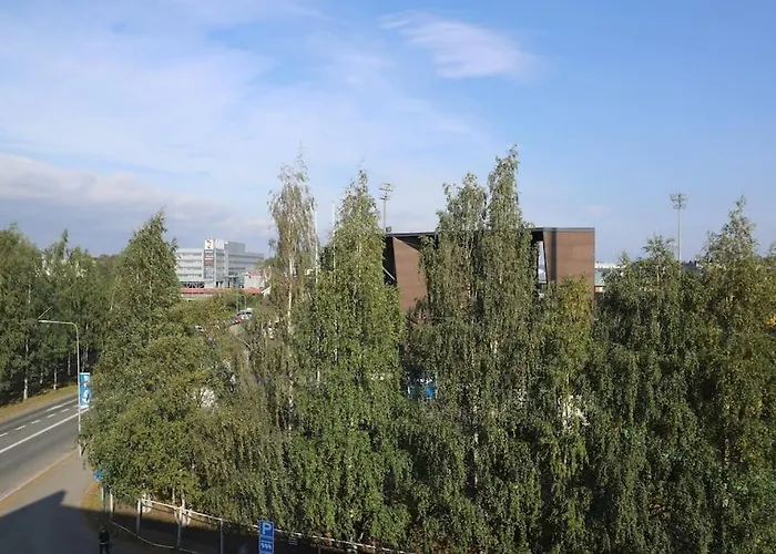 130m2 With Sauna In Citycenter 罗瓦涅米